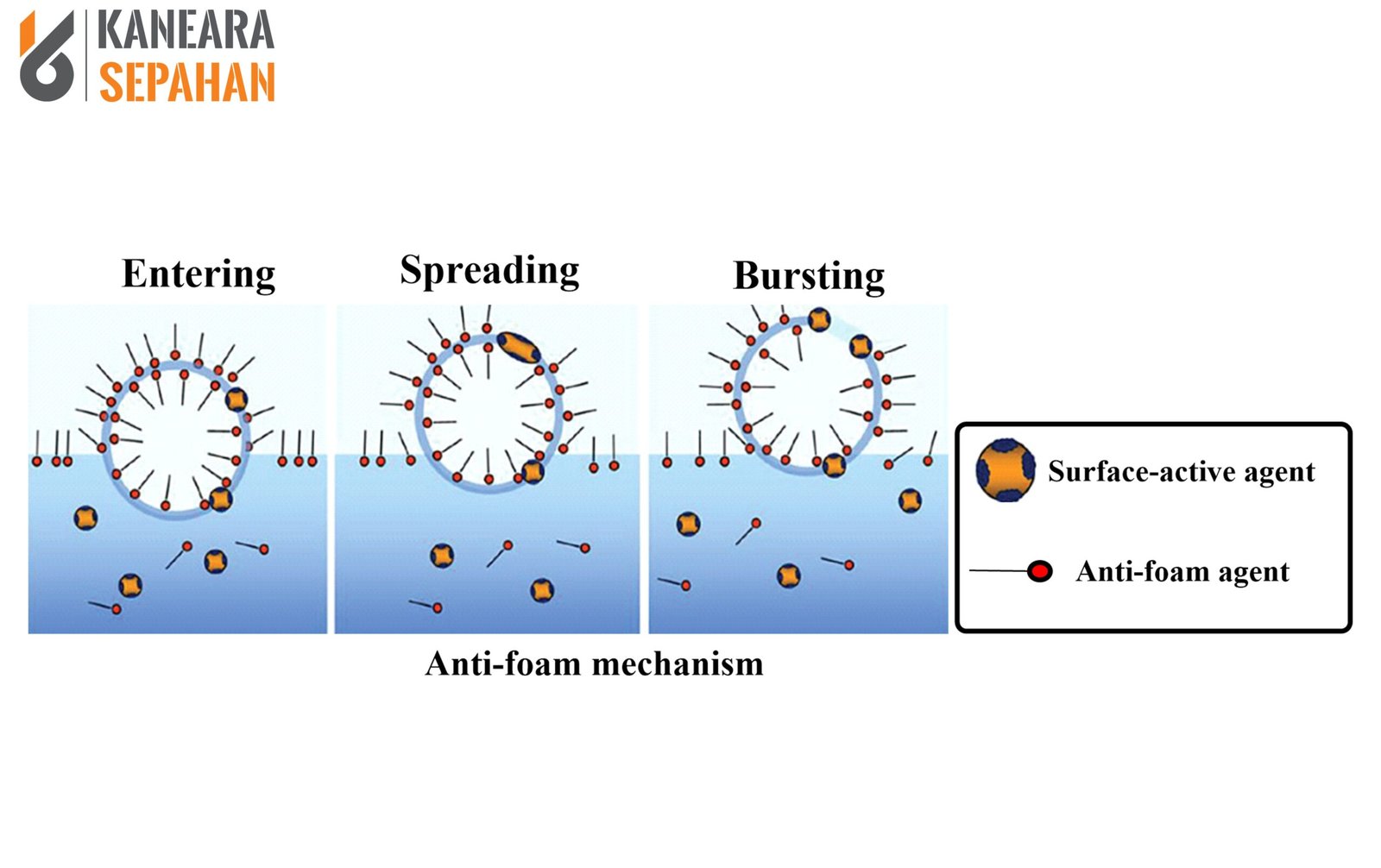 Antifoam