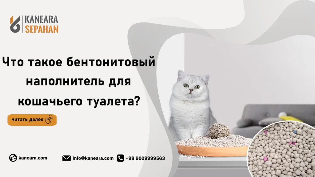 Что такое бентонитовый наполнитель для кошачьего туалета